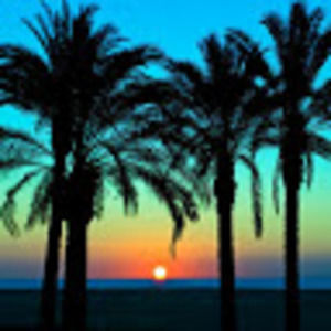 Meet your Posher, Daniela